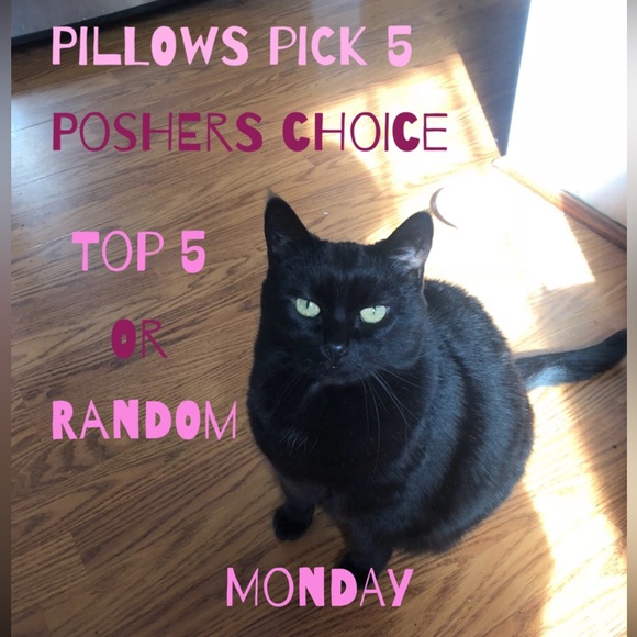 CLOSED tues is up! Pillows pick 5 - Picture 2 of 2
